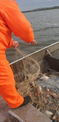 Мрежи в язовир "Мандра"