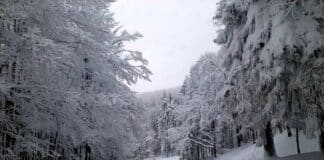 Проход "Петрохан"