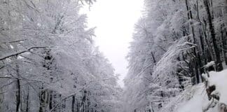 Проход "Петрохан"