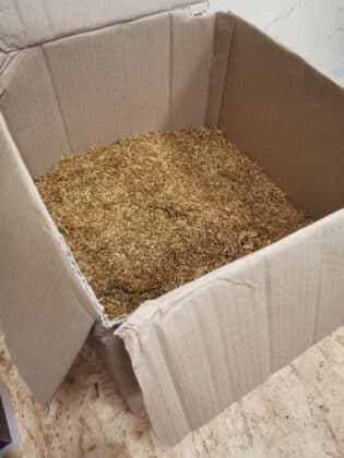 Полицейска операция