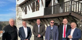 Александър Пулев