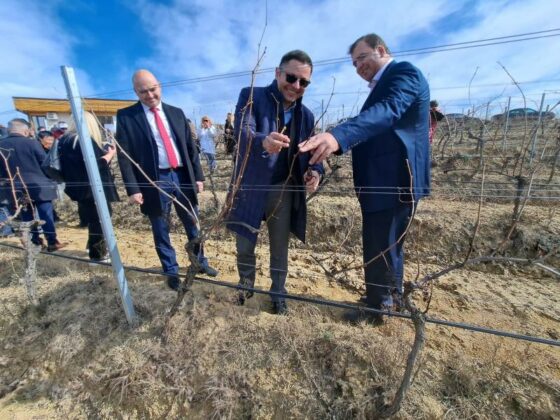 Александър Пулев