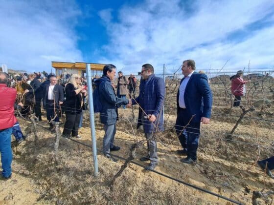 Александър Пулев