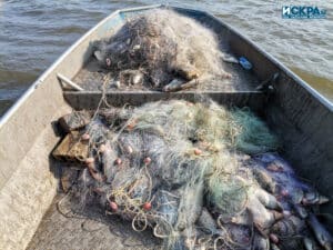 Мрежи, риба