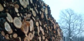 Тир-ове с дървесина