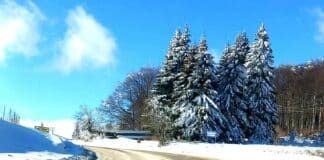 Заснежен път