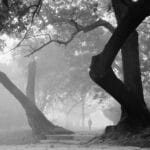 Фотоизложба