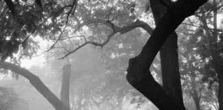 Фотоизложба