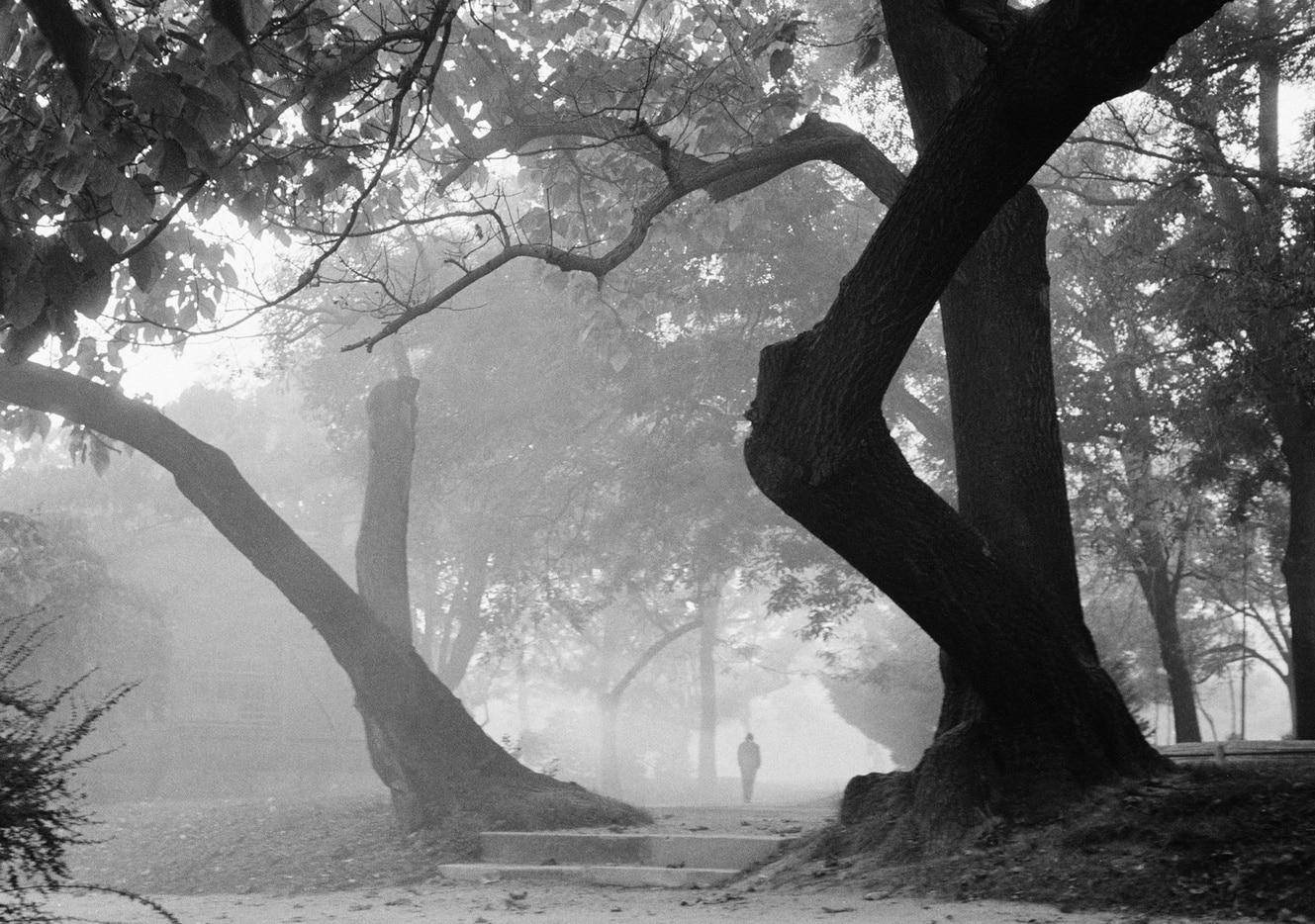 Софийската градска художествена галерия СГХГ открива изложба на Лоте Михайлова