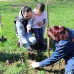 Залесяване