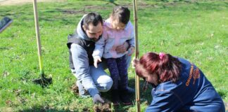 Залесяване