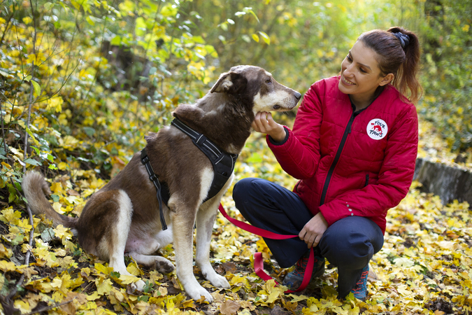 Във Facebook има множество групи в които се подаряват домашни