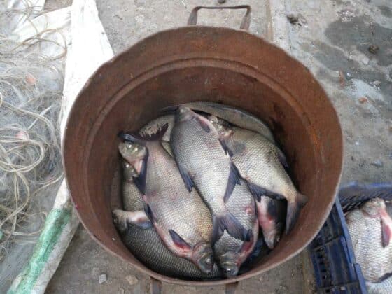 Акция в село Дебелт