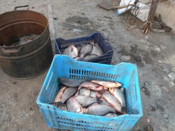 Акция в село Дебелт