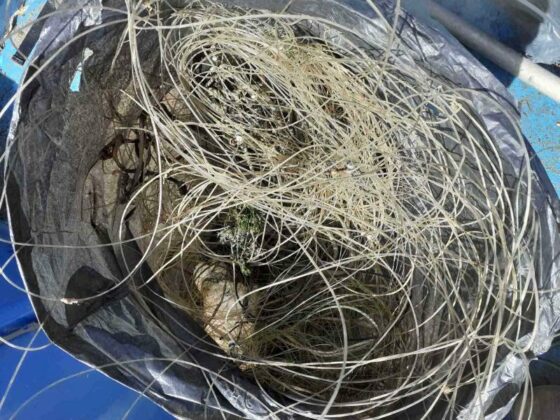 Акция във Варна