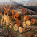 Дървесина, дърва