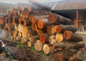 Дървесина, дърва