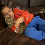 Алекс Кормушев