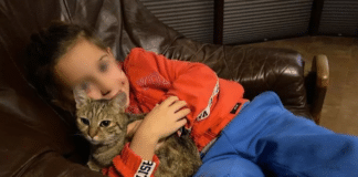 Алекс Кормушев