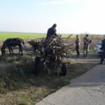 Бракониери