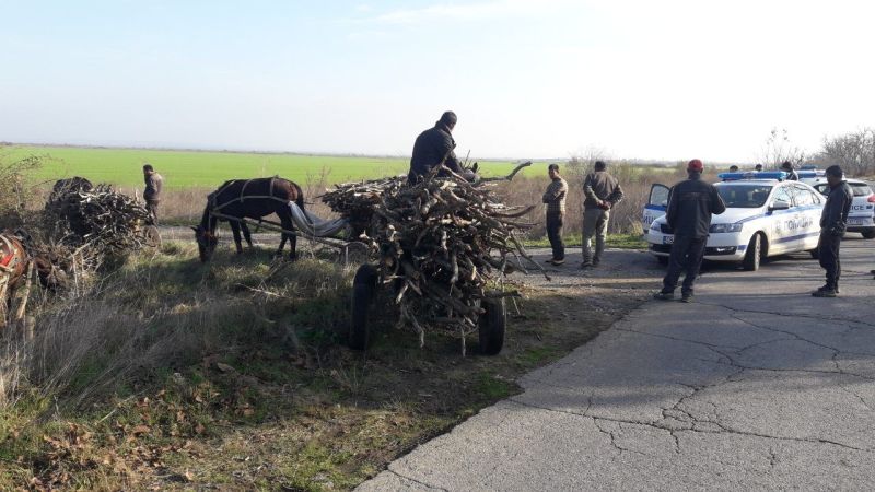 Трима души са били спипани с незаконна дървесина във Видинско