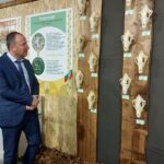 Инж. Валентин Чамбов