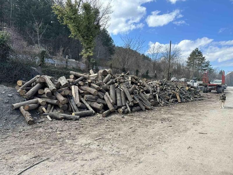 Екипите на Изпълнителната агенция по горите ИАГ стартираха интензивни проверки