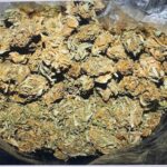 Наркотици, дрога