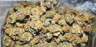 Наркотици, дрога