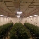 Високотехнологична лаборатория за наркотици