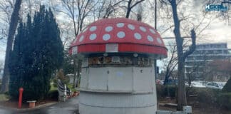 Гъбка, Бургас