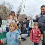 Безплатни дръвчета