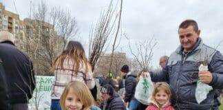 Безплатни дръвчета