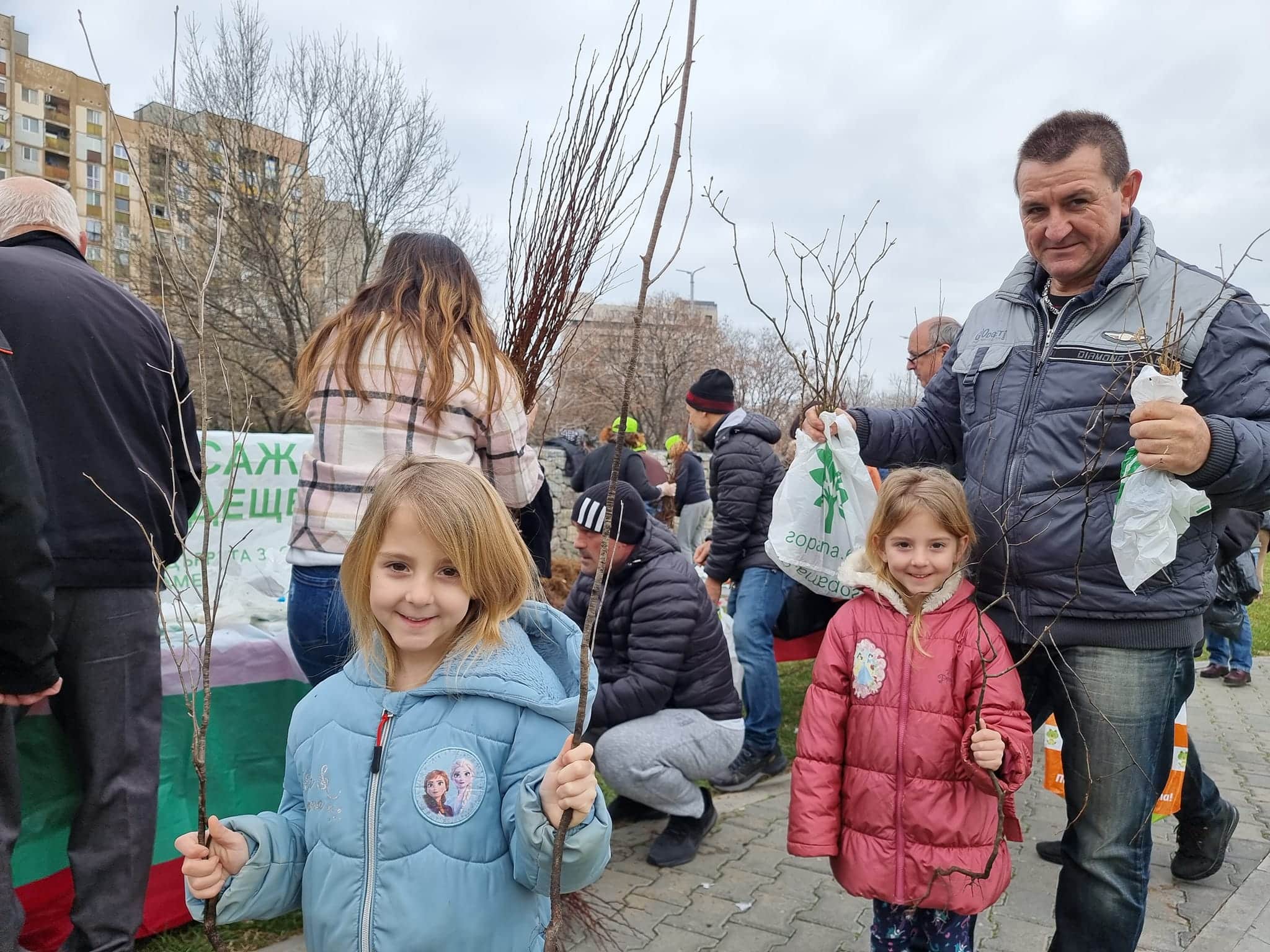 Нова акция по безплатно раздаване на млади дръвчета ще проведе