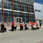 Киноложка изложба