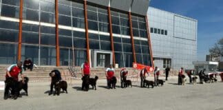 Киноложка изложба