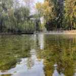 Защитена местност "Клептуза"