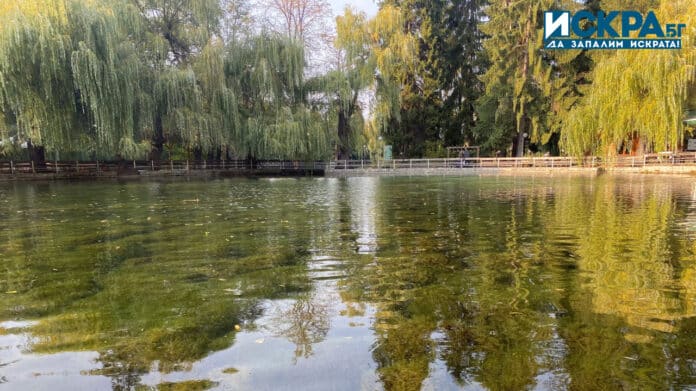 Защитена местност "Клептуза"