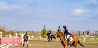 Конни демонстрации в Русе