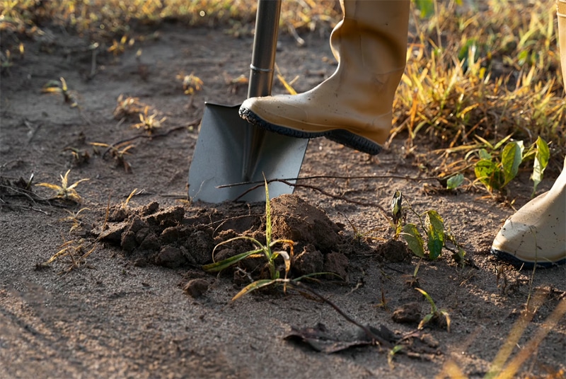 Двама мъже са били заловени в момент на търсене на