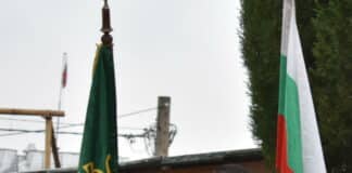 Общински младежки съвет-Асеновград