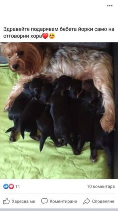 Обява във Facebook