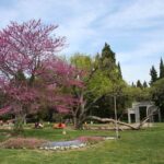 Парк "Аязмото"