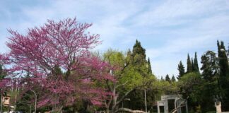 Парк "Аязмото"