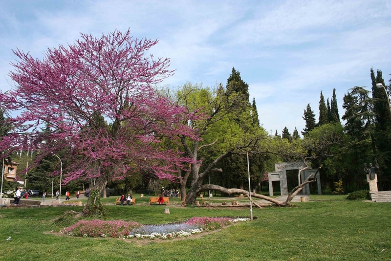 Инициатива за озеленяване на крайградските зони паркове и съществуващи инфраструктурни