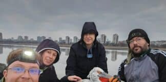 Къдроглав пеликан