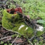 Почистване