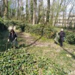 Почистване