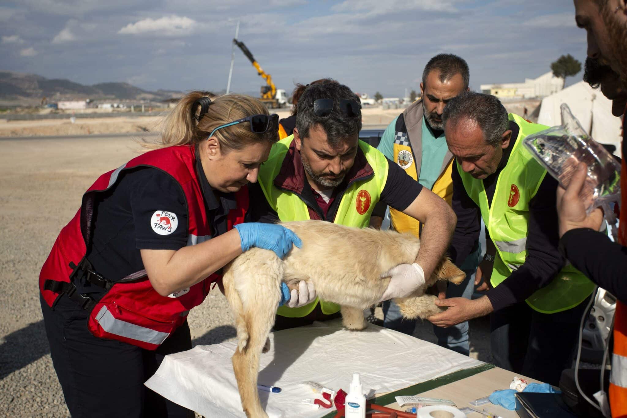 2 седмици спасителният екип на международната организация за защита на