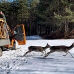 Село Черни Осъм
